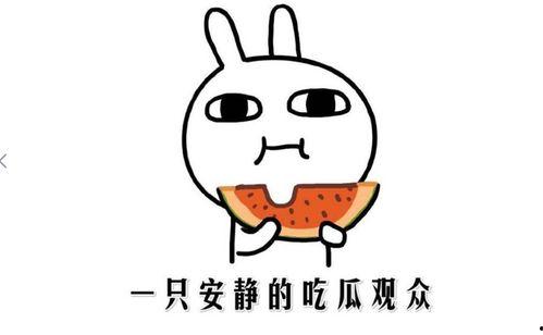 娱乐圈吃瓜的正确方法,轻松解锁明星八卦的正确姿势  第1张